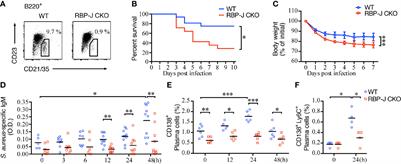 Marginal Zone B Cells Assist With Neutrophil Accumulation to Fight Against Systemic Staphylococcus aureus Infection